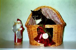 Miinus x-mas 1