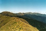 The contrasting tussock of the Tararua tops.