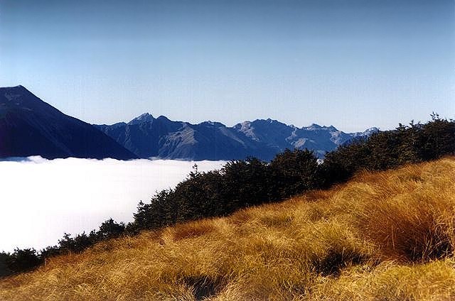 Cloud, Travers Valley, Mt Chittenden (back)