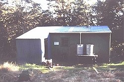 Kapakapanui