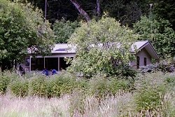 Routeburn Flats
