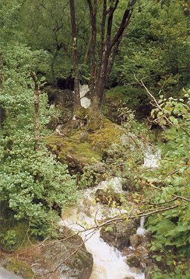 Stream on the rough path after Inversnaid