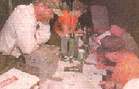 Plans section exercising