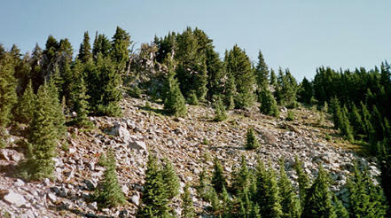Mt. Jefferson Virtual Climb