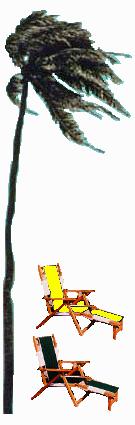 Lone Palm with beach chairs