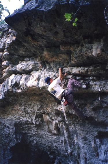 Spider Grind