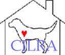 Central graphic