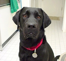 Doshi at 8 months