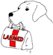LabMed graphic