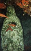 Statue of St Mary just off the shore at 18 metres.