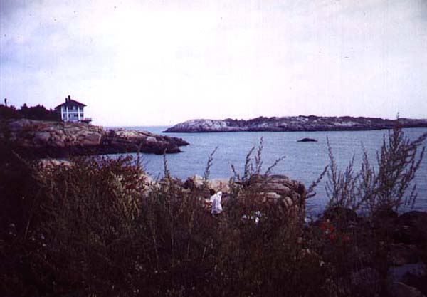 Gap Cove