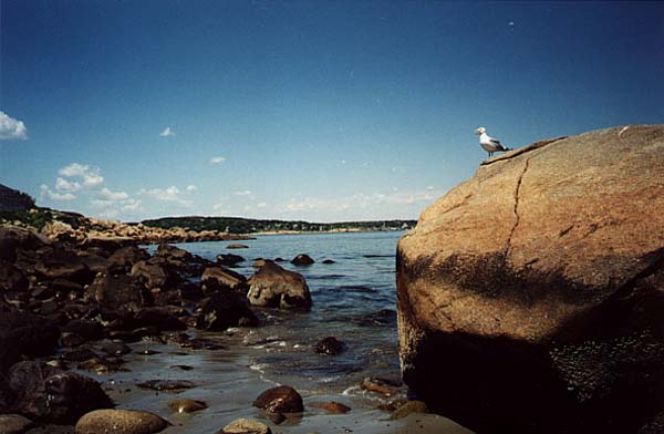 Old Garden Beach