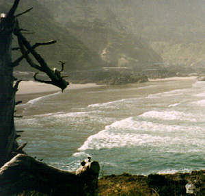 Shoreline on the Oregon Coast