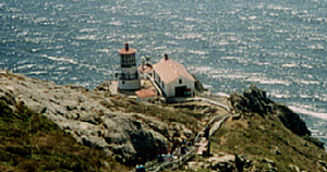 Point Reyes Lighthouse from the top of the cliff trail