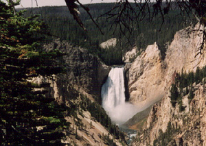 Yellowstone Falls from midway along the trail