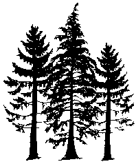 3 trees
