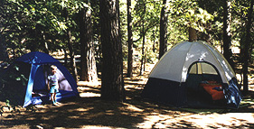 A two tent campsite!