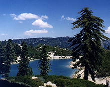 The small lake