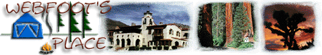 The Tent Page, Umbrellas, California Scenes and More!