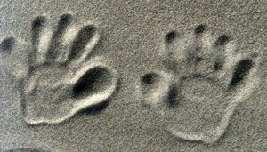 Hands