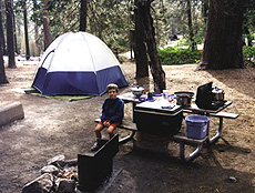 Azalea Campground