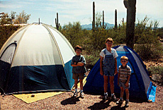 Organ Pipe Cactus NM campground