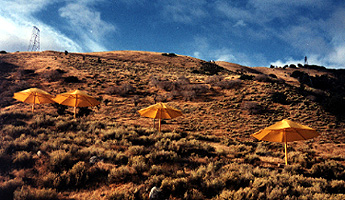 4 Umbrellas on a hill
