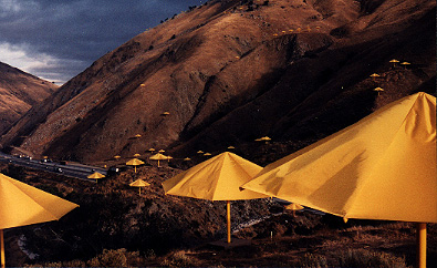 Umbrellas down the Grapevine
