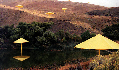 Reflections of Umbrellas