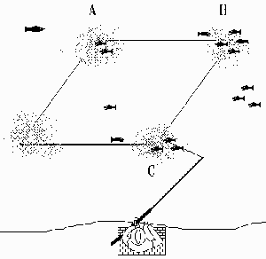 Chumming Diagram