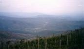 A view from Mt. Mitchell
