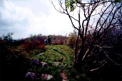 Mike M. and Dianne crossing Thunderhead Mtn.