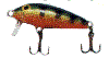 lure