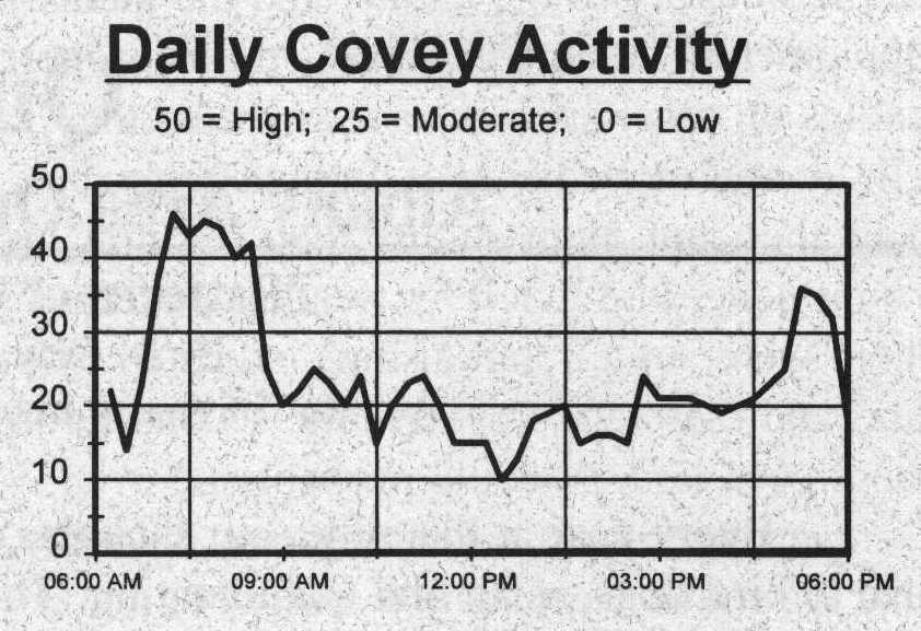 daily covey activity