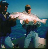 Kevins Red