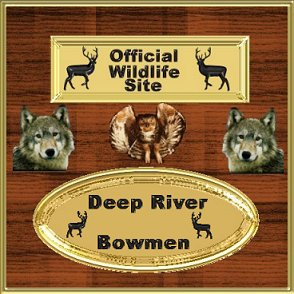 Official Wildlife Site - Awarded to DRB, March 2000
