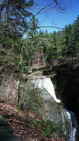 Wolf Creek Falls 5/99