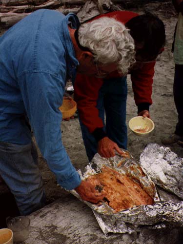 digin Clayoquot Snd