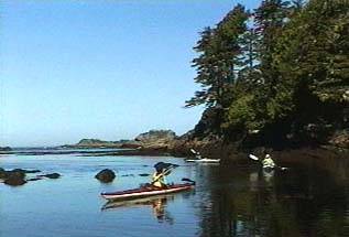 more Mud Bay
