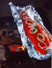salmon