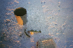 Walleye's on the
ice