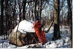 Alex in the
woods