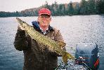 Nice fish