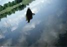 They just keep biting...