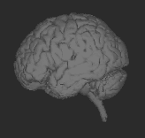 mind-ring3.gif (6380 bytes)