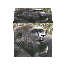 Photo Cube Copyright 1998 Loraine Fergus