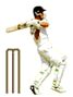 cricket.gif (2324 bytes)
