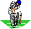 cricket.gif (2324 bytes)