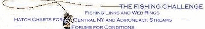CLICK HERE to visit the Fishing Challenge!
