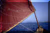 sardegna3.jpg (19079 byte)